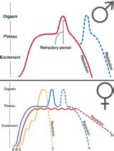 Refractory period (sex)